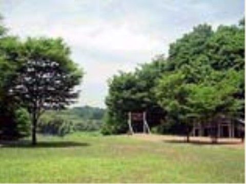 当施設から車で3分ほどの所に、高い木々もある緑いっぱいの大きな公園があり、自然を肌で感じていただくことができる。