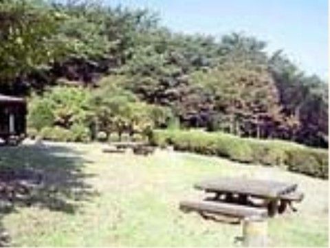 当施設から歩いて10分ほどの所に、緑豊かでベンチなどもある大きな公園があり、季節ごとの美しさを感じていただける。