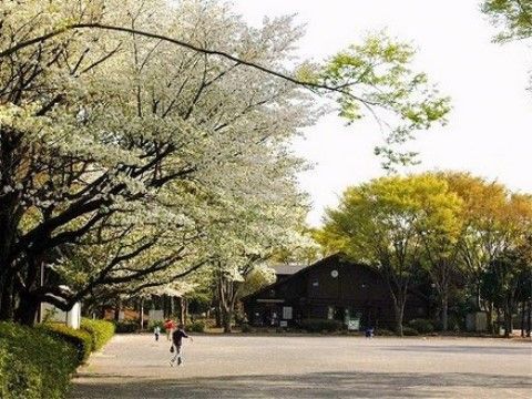 桜の木や、さまざまな自然に囲まれた広々とした公園。公園内は歩きやすい道が多く、安心して散歩を楽しむことができる。