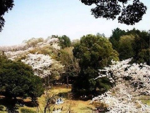 近くには広い面積を有する公園があり、四季折々の木々や花を観ることができる。陽を浴びながら散歩をして、心身ともに健康になれる。