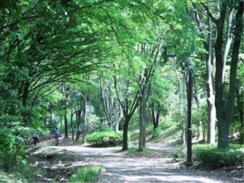 多くの木々が立ち並ぶ緑豊かな公園である。お散歩コースにぴったりで、見渡す限り緑一色で心が癒される公園である。