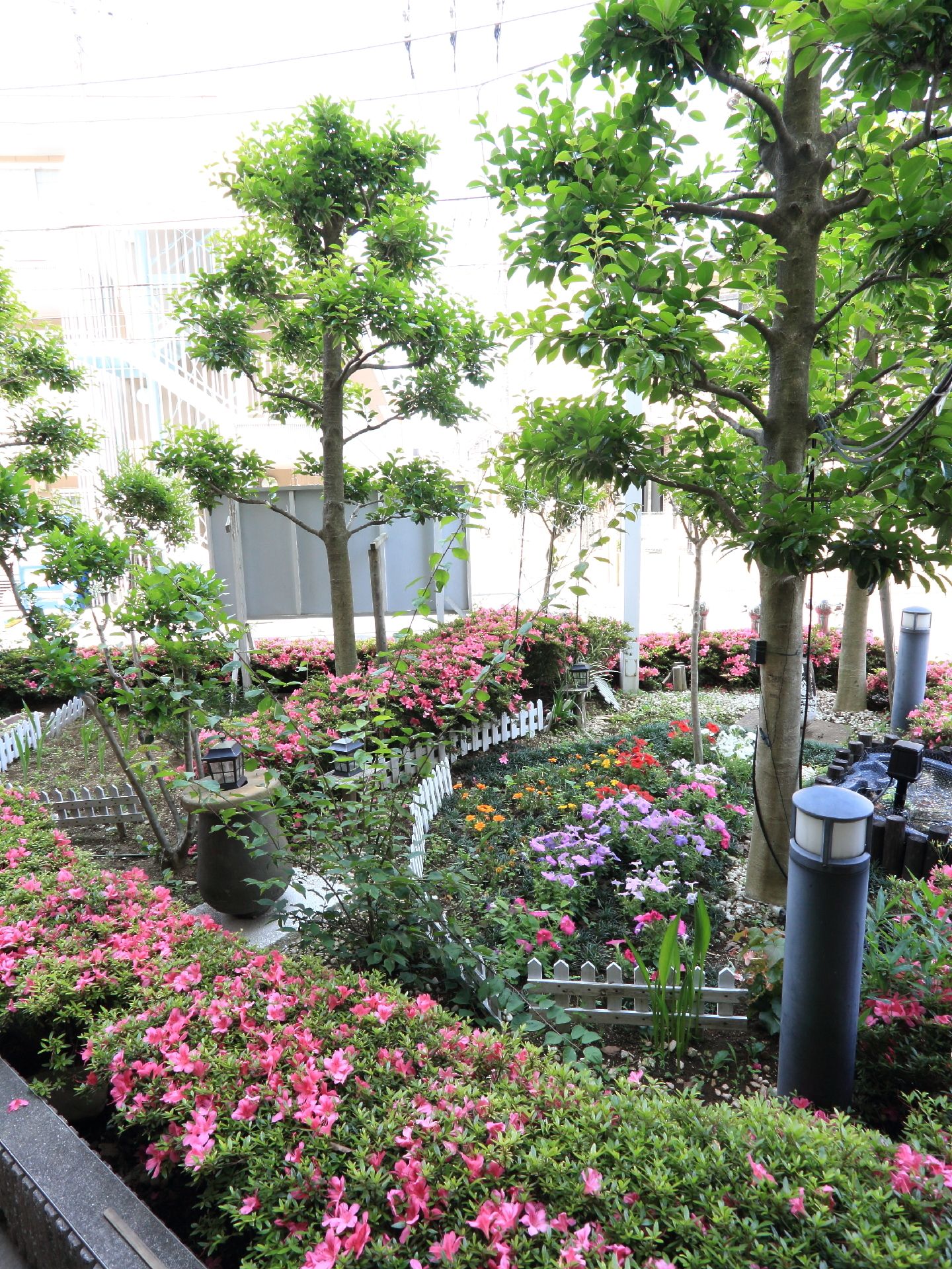 つつじなどの花や、木も植えられている花壇がある。とてもきれいに整備されていて、自然を楽しむことができる。