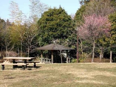 緑豊かな公園。広々とした広場にはテーブルやベンチが置かれており、談笑を楽しんだり、さまざまな目的で利用することができる。