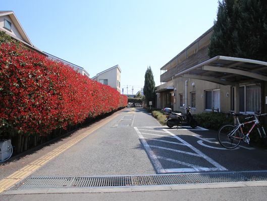 敷地内駐輪場