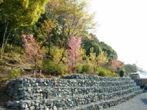 「ケアハウス 黎明の里」周辺の遊歩道