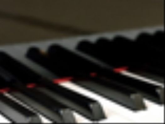 レクリエーション活動