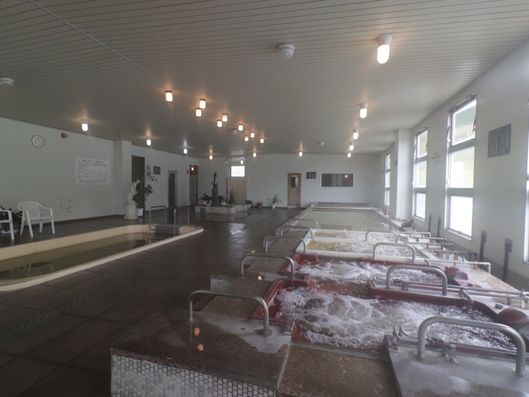 バーディゾーン