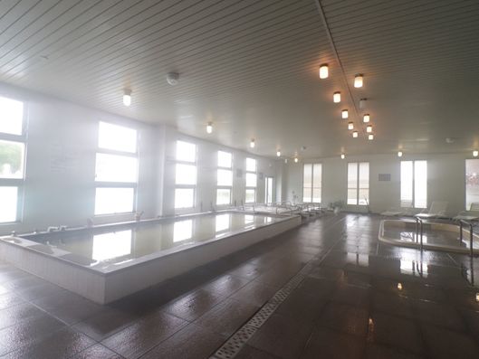 バーディゾーン