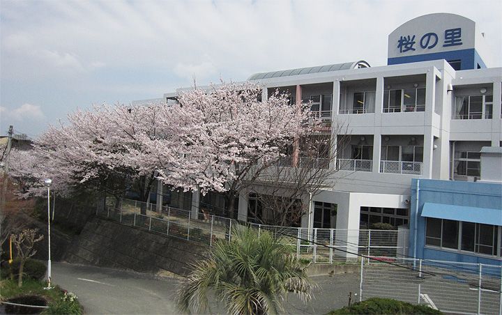 桜並木のある施設外観