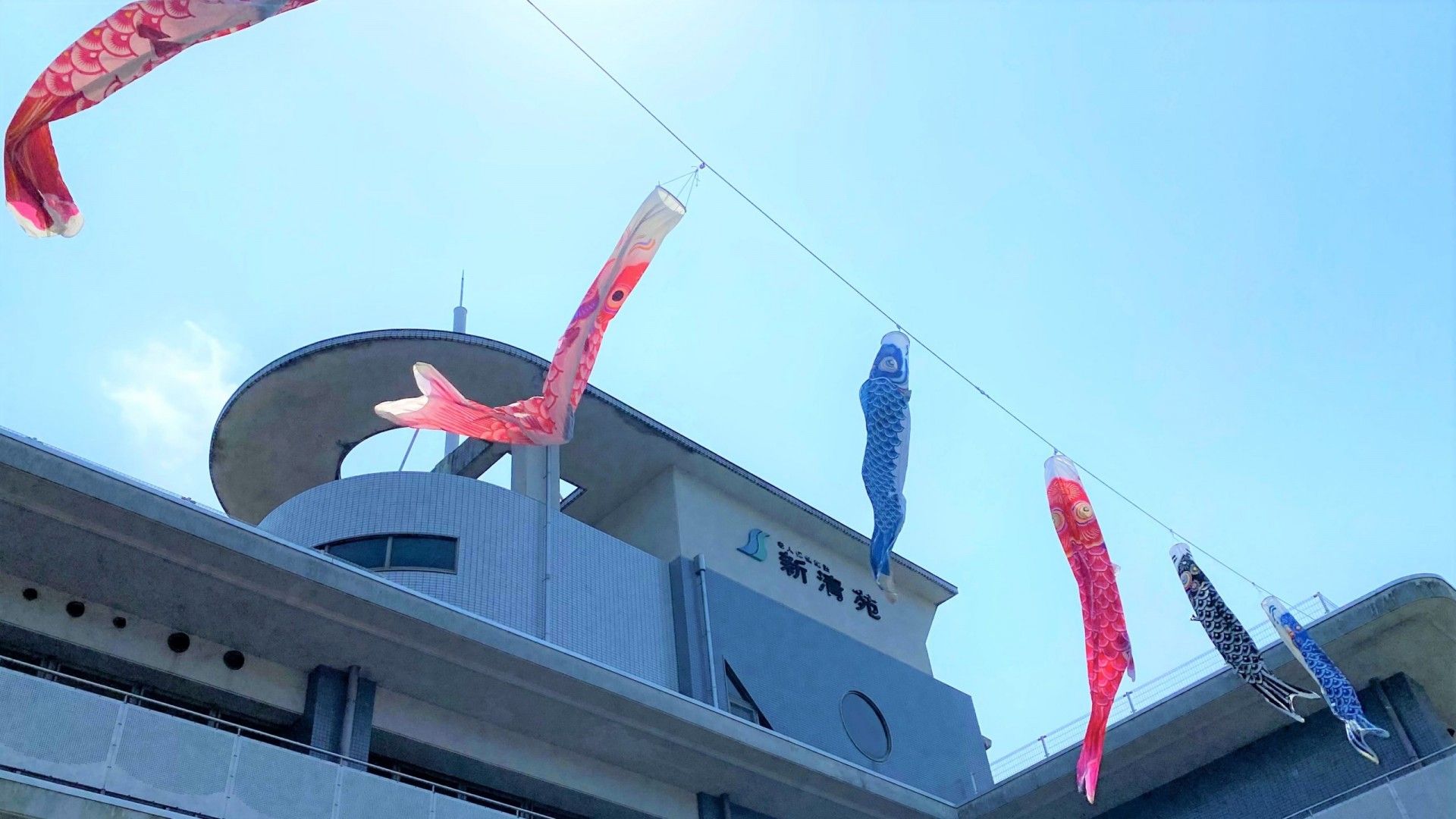 鯉のぼりが泳ぐ建物