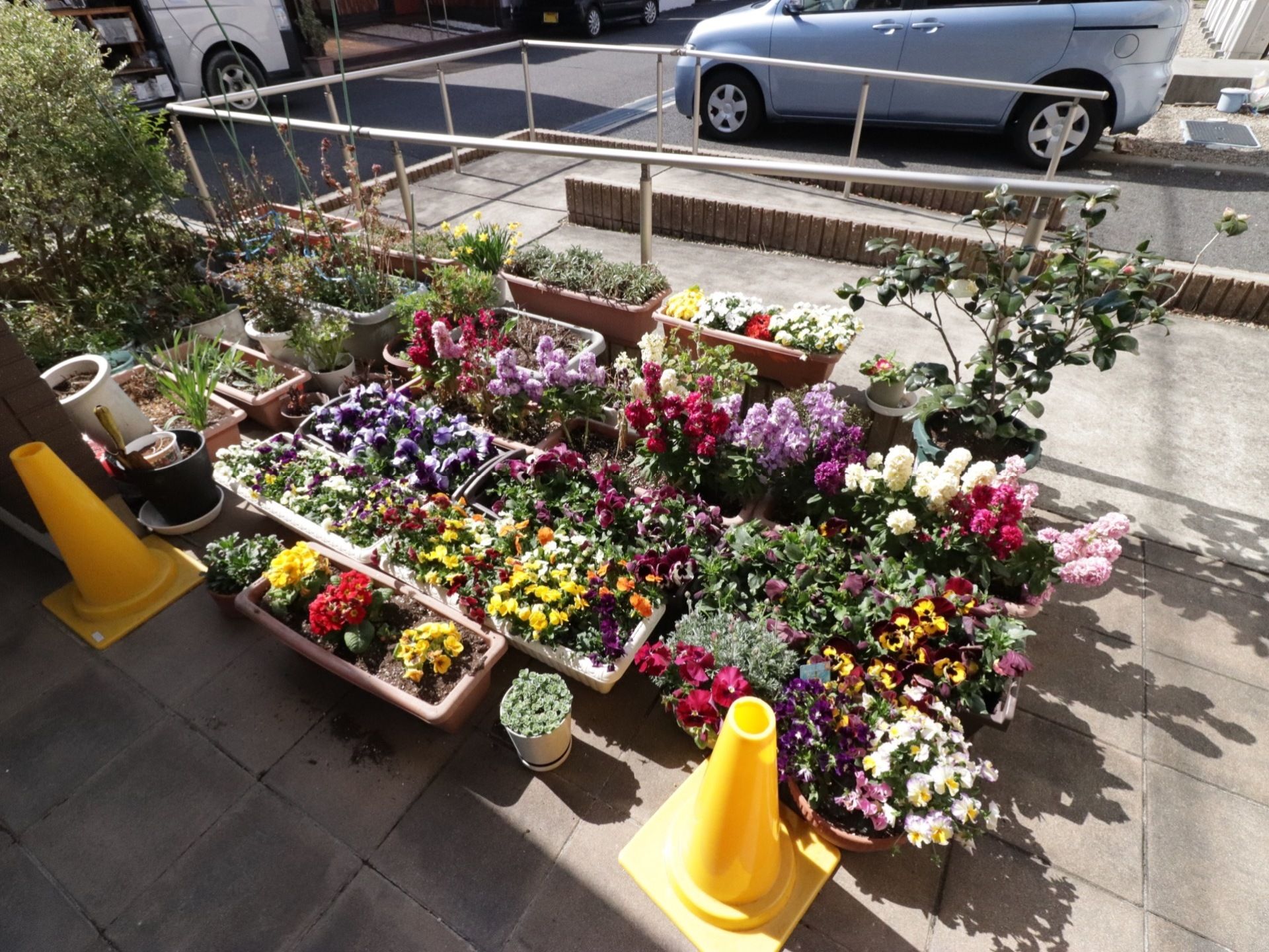 玄関前にはたくさんの鉢植えがあり、手入れの行き届いた色とりどりの花がご来館いただく方を出迎えてくれる。