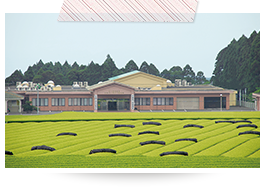 ゆったりとした環境の施設外観