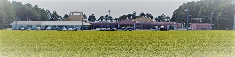 広々とした施設の外観