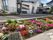 色とりどりの花壇