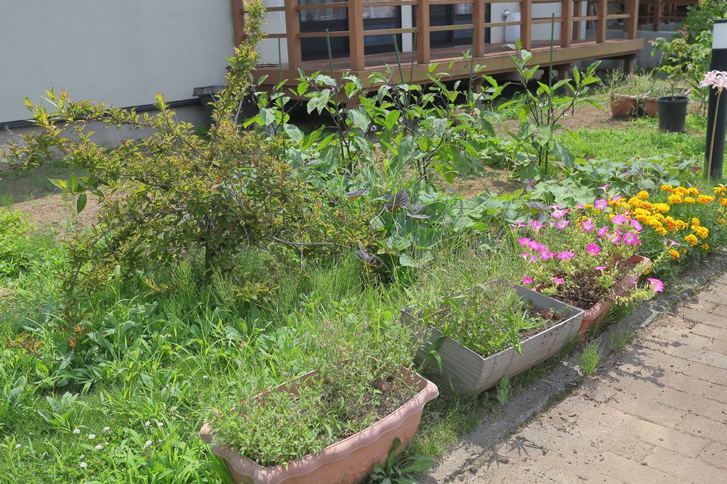 スロープの前にはさまざまな植物やお花が植えられている。華やかな風景を見ながら、施設を訪れることができる。