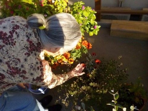 女性の入居者様が腰をかがめて、鉢植えの花に手を添えてご覧になっている。オレンジ色や紫色の花が咲いている。