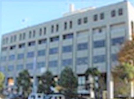 市役所の建物の外観である。建物は６階建てで、壁は白色系であり、前面には木が並んで植えられている。駐車場も完備されている。