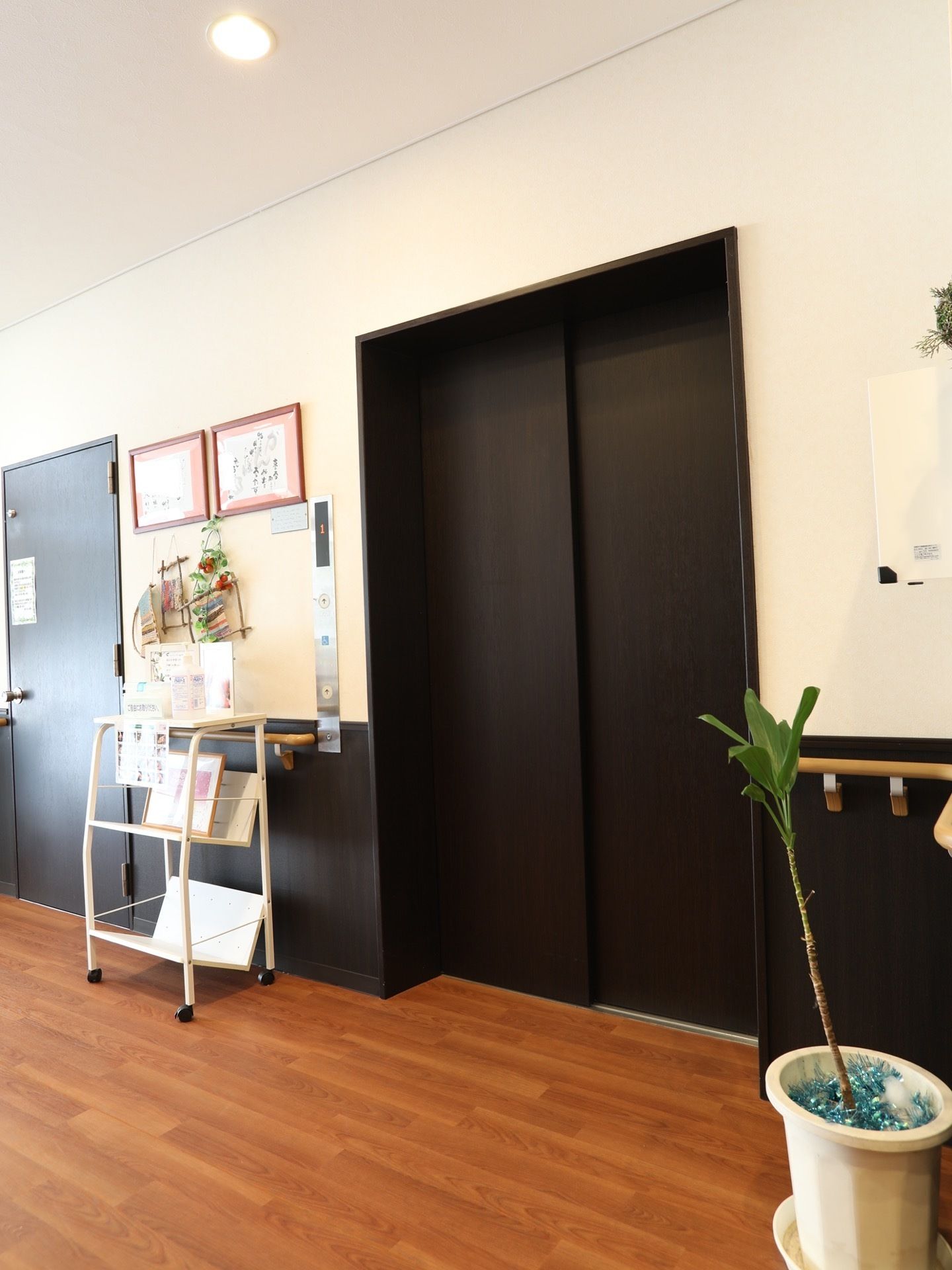 通路に黒い扉のエレベーターが設置されている。近くにはパンフレットの乗った台や、観葉植物が置かれている。