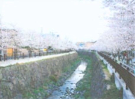 施設近くには川があり、春には川沿いに植えられた桜が咲き乱れ、美しい景色をながめ四季を感じながら散策ができる。