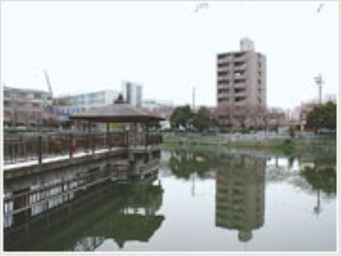 施設周辺に大きな公園があり、池などもあり、景色を楽しみながら、散策や日光浴などを楽しむことができる。