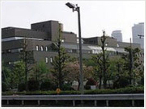 種類の異なるさまざまな樹木が立ち並ぶ、緑豊かな背景の向こうにグレーの建物が建っている。落ち着いた雰囲気の図書館である。