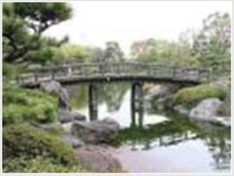 緑豊かな公園内を歩くと、清々しい気持ちになる。施設周辺には複数公園があるため、気分によってコースを変えてみるのも良い。