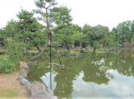 当施設の近くには池がある公園がある。緑の中で森林浴をお楽しみいただいたり、水鳥を眺めたりとリラックスした時間をお過ごしいただける。