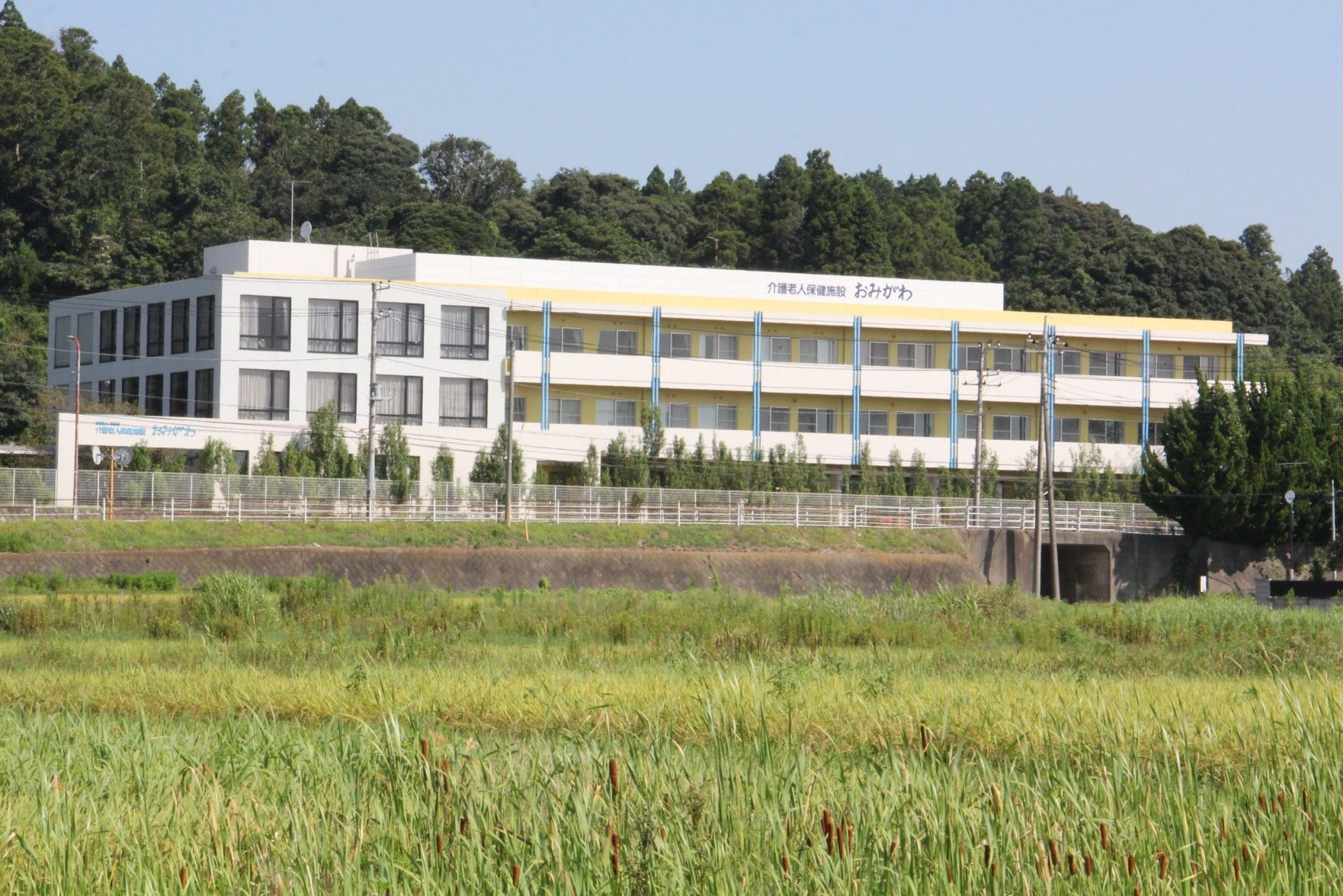 自然に囲まれた施設外観