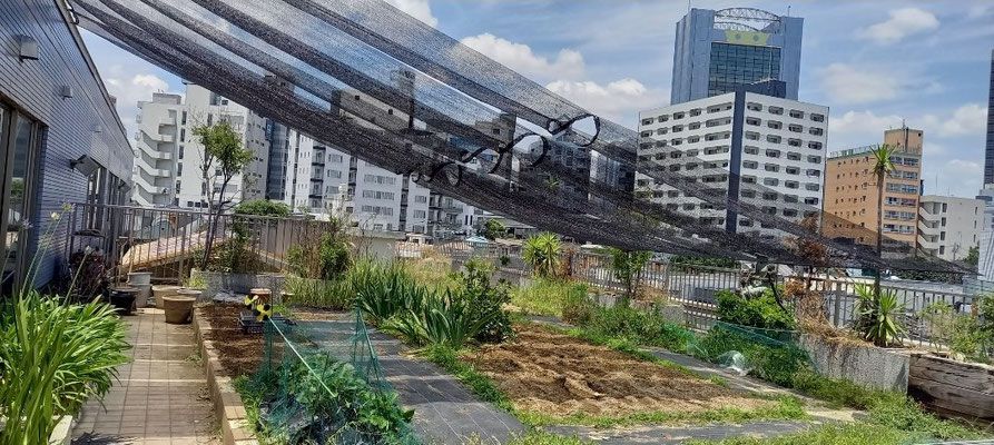 都会の中の屋上庭園