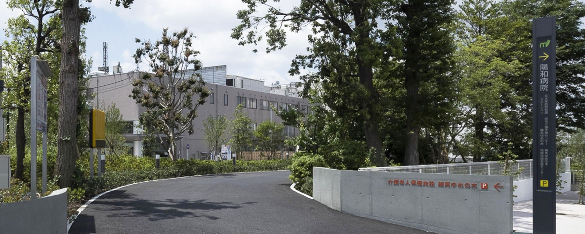 緑豊かな入り口通路