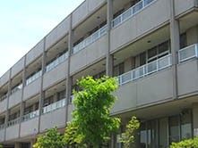 緑に囲まれた建物外観