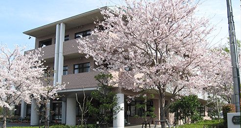 桜並木のある建物前景